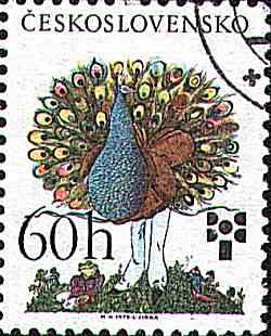 Pfau